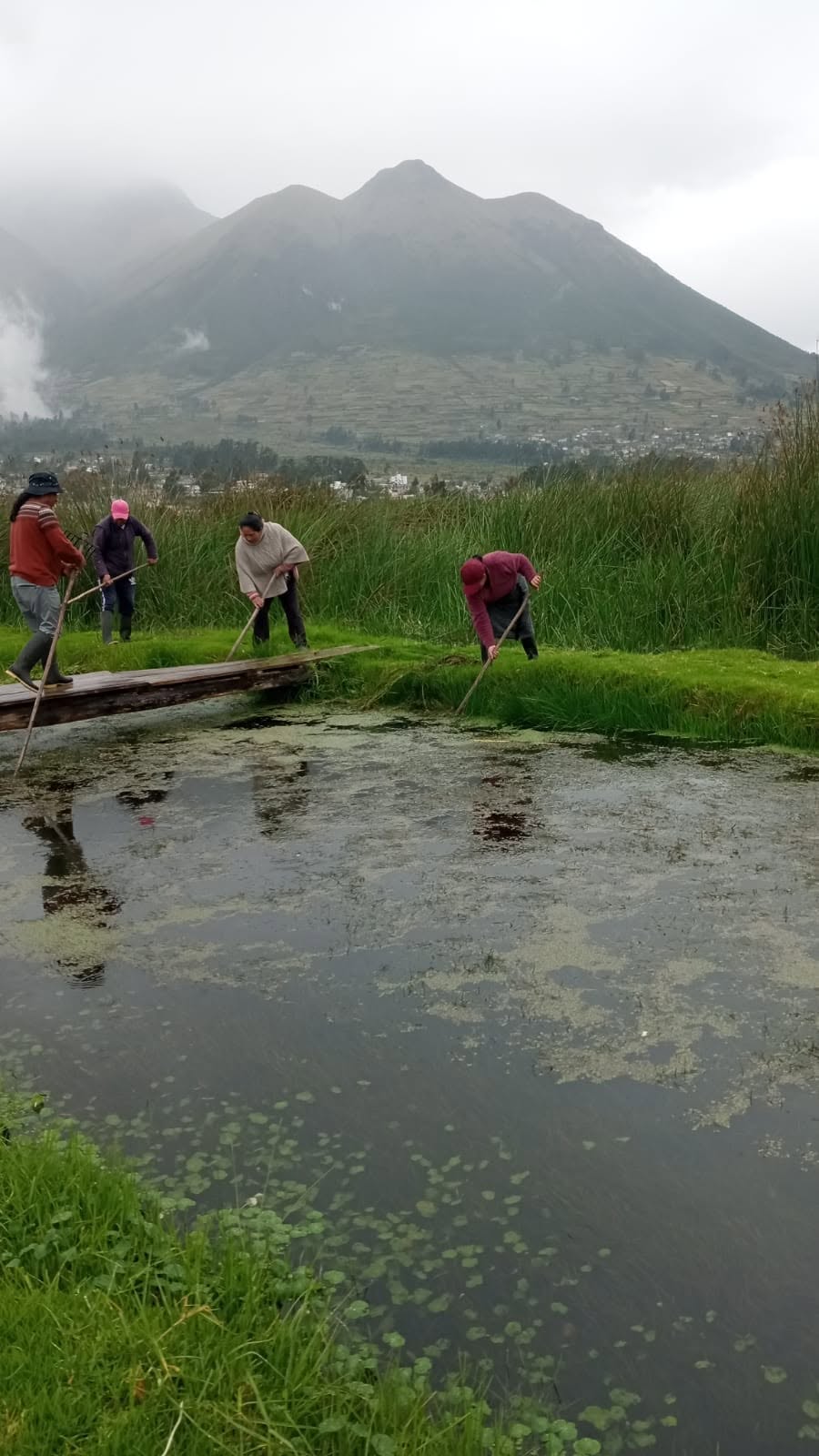 El crecimiento del Barco Vikingo en el lago San Pablo